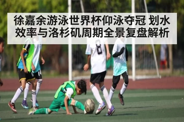 徐嘉余游泳世界杯仰泳夺冠 划水效率与洛杉矶周期全景复盘解析